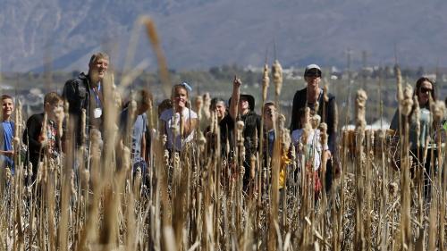 Students from Creekside Elementary explore the marshes at the Great Salt Lake Shorelands Preserve as part of The Nature Conservancy’s Wings & Water program in Layton on Wednesday, April 20, 2022.Laura Seitz, Deseret News